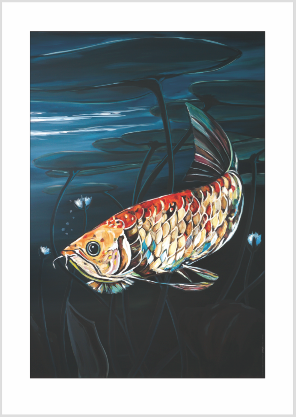 Arowana – WatchLife.com